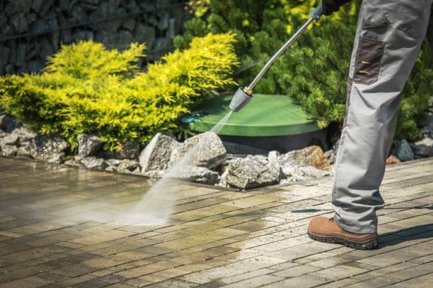 Best Animal Enclosure Cleaning  in Trumann, AR